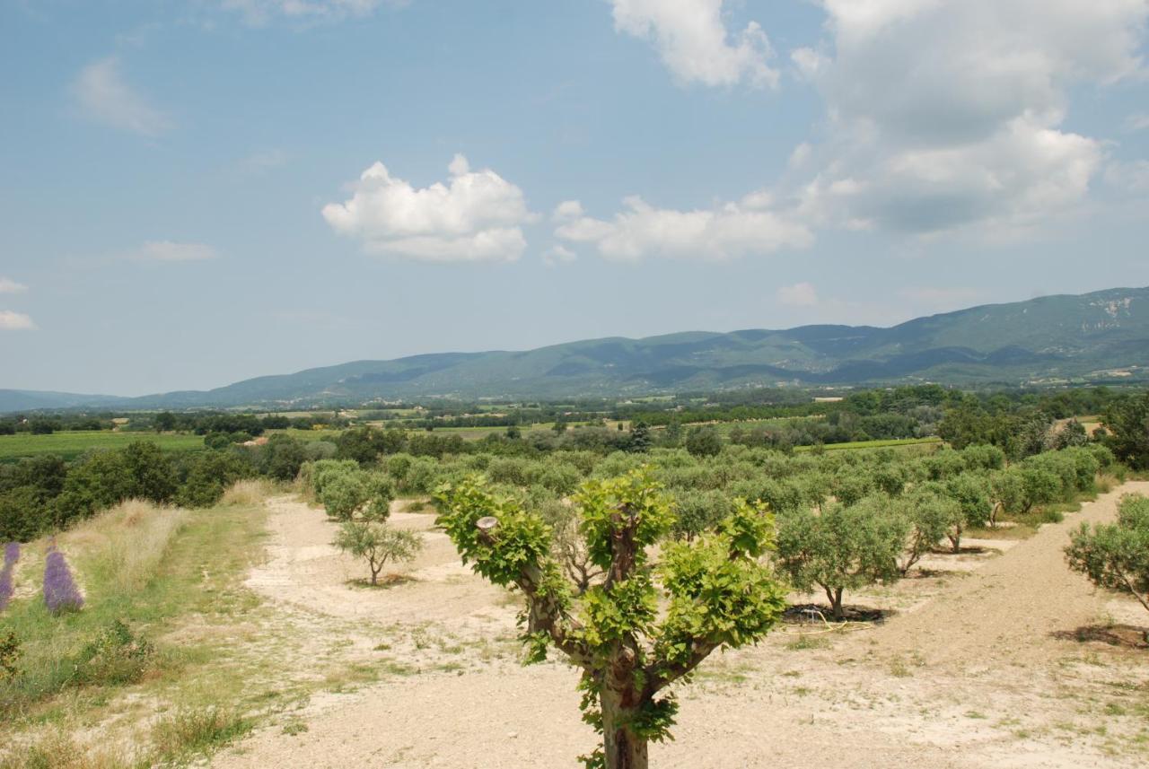Bed and Breakfast Bastide Saint Maurin Ansouis Exterior foto